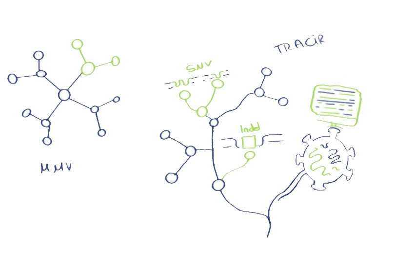 RNA Virus Evolution – Adaptation, Resistance, and the therapeutic challenges TRACiR