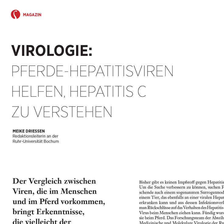 VETJOURNAL 06/2022 - Pferde-Hepatitisviren helfen, Hepatitis C zu verstehen (PDF)